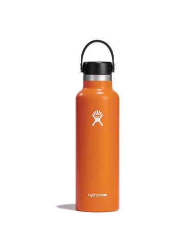 Hydro Flask 21oz Standard Mouth Bottle w/Flex Cap Mesa