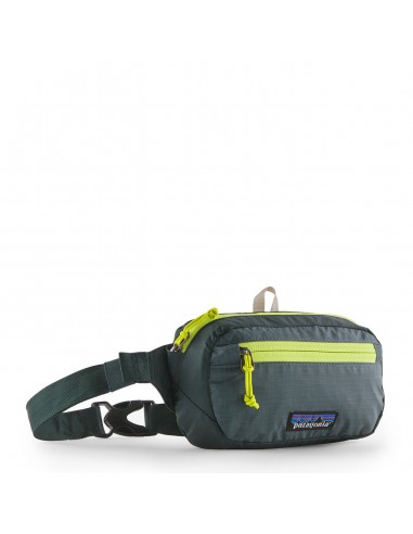 Patagonia Ultralight Black Hole Mini Hip Pack 1L Nouveau Green