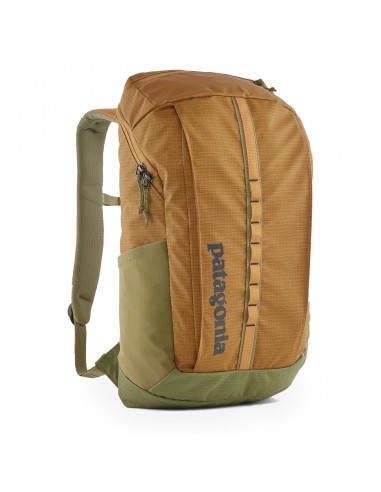 Patagonia Black Hole Pack 25L Pufferfish Gold