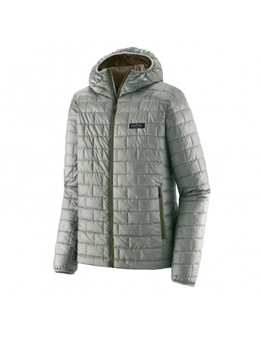 Patagonia Nano Puff Fitz Roy Trout Hoody Sleet Green