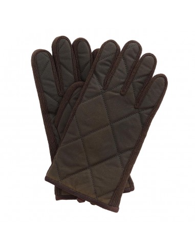 Barbour Winterdale Gloves Olive / Brown