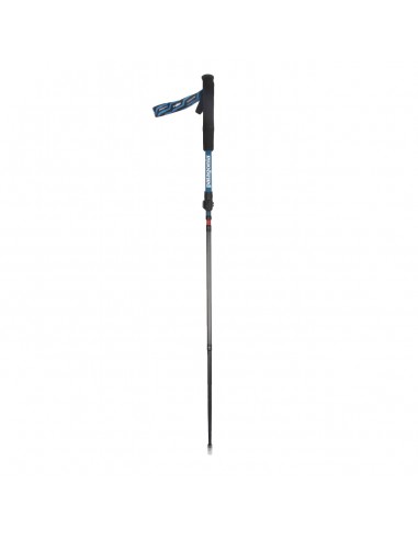 Patagonia Wading Staff Black