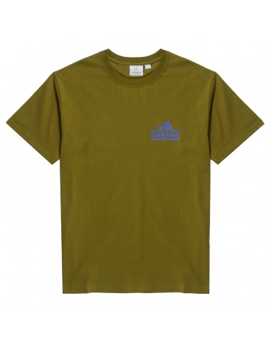 Gramicci Climbing Gear Tee Pistachio