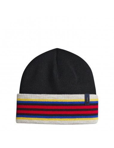 Pendleton National Park Stripe Beanie Acadia