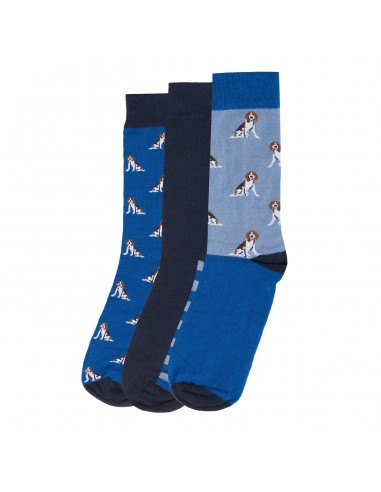 Barbour Beagle Dog Socks Set Blue